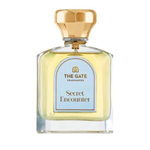 Secret Encounter Extrait 100 ml